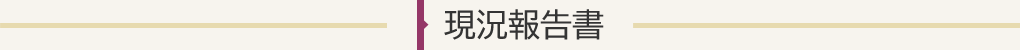 現況報告書
